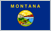 Montana Registered Agent Services